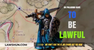 Paladins and Morality: Exploring the Lawful Alignment Debate