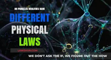 Parallel Realities: Do They Obey Our Laws of Physics?