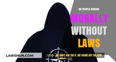 Moral Compass Without Laws: Exploring Human Ethics Beyond Legal Boundaries