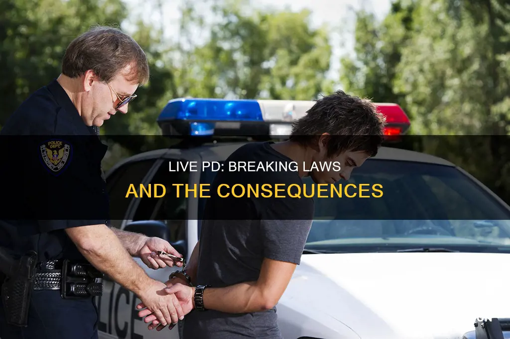 do people breaking the law live pd