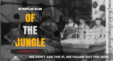 Do People Die in Law of the Jungle? Uncovering the Truth
