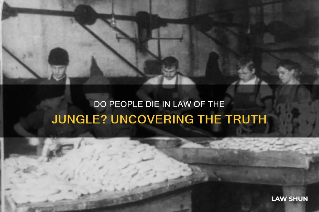 do people die in law of the jungle