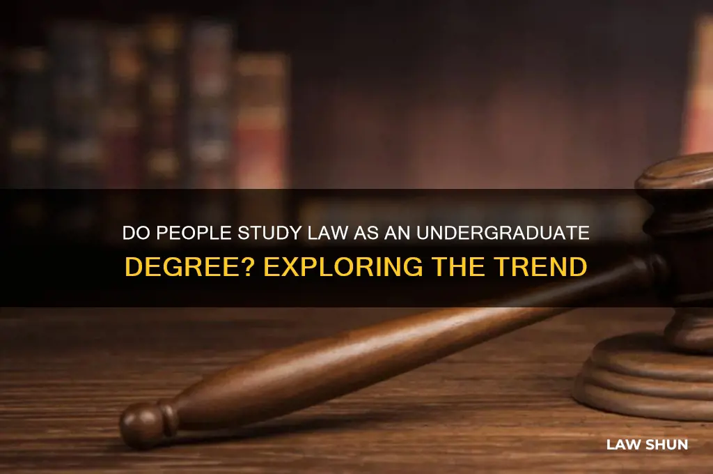 do people dtufy law under graduate