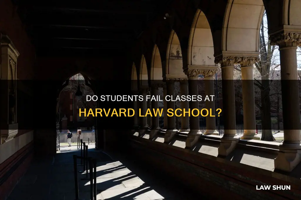 do people fail classes harvard law