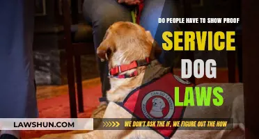 Service Dog Laws: Proof Requirements and Public Access Rights Explained