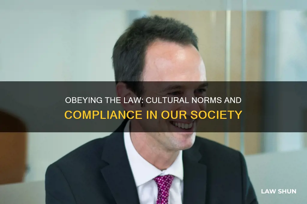 do people in your country usually obey the law