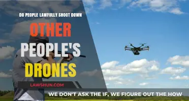 Can You Legally Shoot Down Drones Trespassing on Your Property?