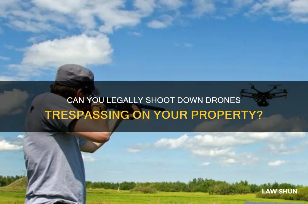 do people lawfully shoot down other people