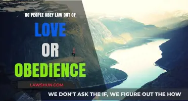 Love or Duty: What Truly Drives People to Obey the Law?