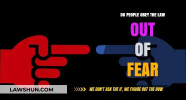 Fear or Morality: What Truly Drives People to Obey the Law?
