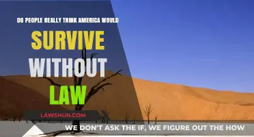 America Without Law: A Realistic Survival Possibility or Pure Myth?