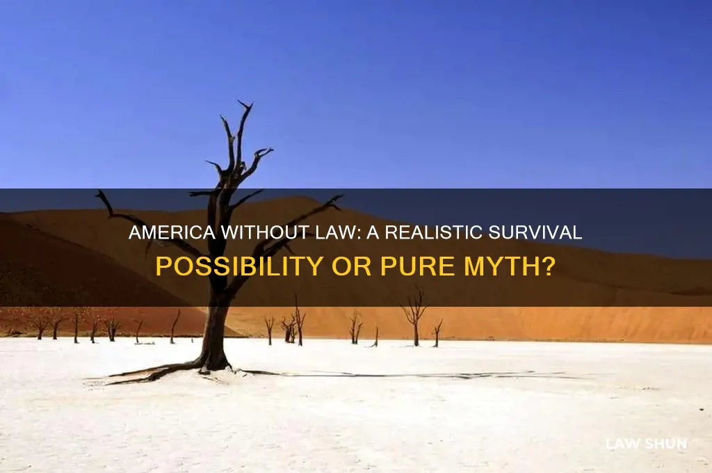 do people really think america would survive without law