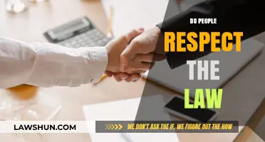 Do People Respect the Law? Exploring Compliance and Societal Attitudes