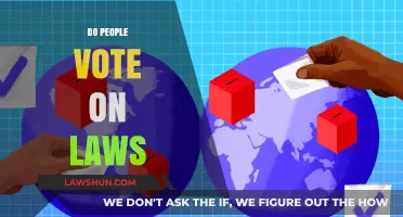 Do Citizens Directly Vote on Laws? Exploring Democracy's Mechanisms