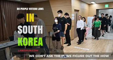 Do South Koreans Directly Vote on Laws? Understanding Civic Participation