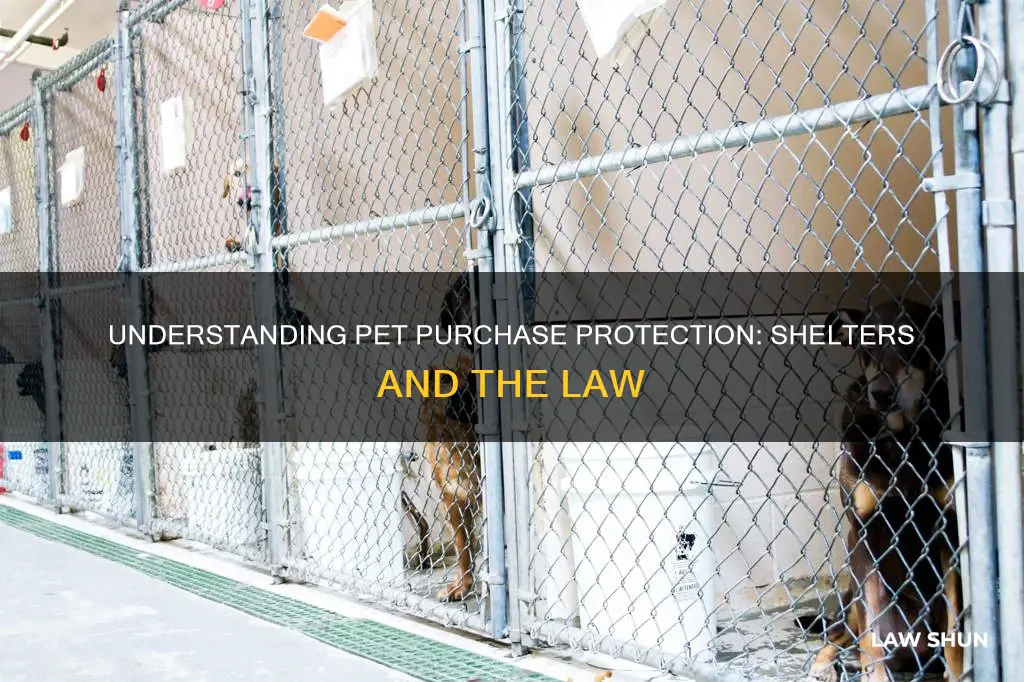 do pet purchase protection laws apply to animal shelters