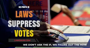 Do Photo ID Laws Suppress Votes? Analyzing Voter Suppression Concerns