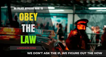 Do Police Officers Have to Obey the Law? Exploring Accountability