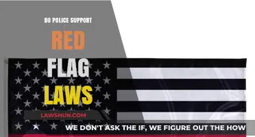Examining Police Stance on Red Flag Laws: A Critical Analysis