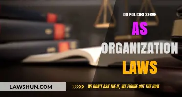 Do Policies Serve as Organizational Laws?