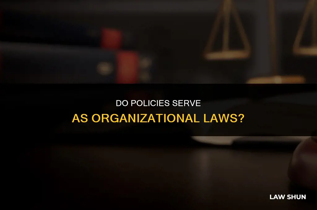 do policies serve as organization laws