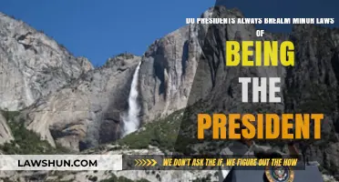 Presidents and Minor Lawbreaking: A Common Presidential Privilege?