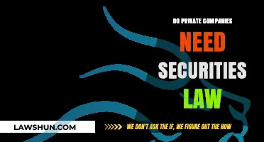 Do Private Companies Need Securities Law? Exploring Legal Necessities