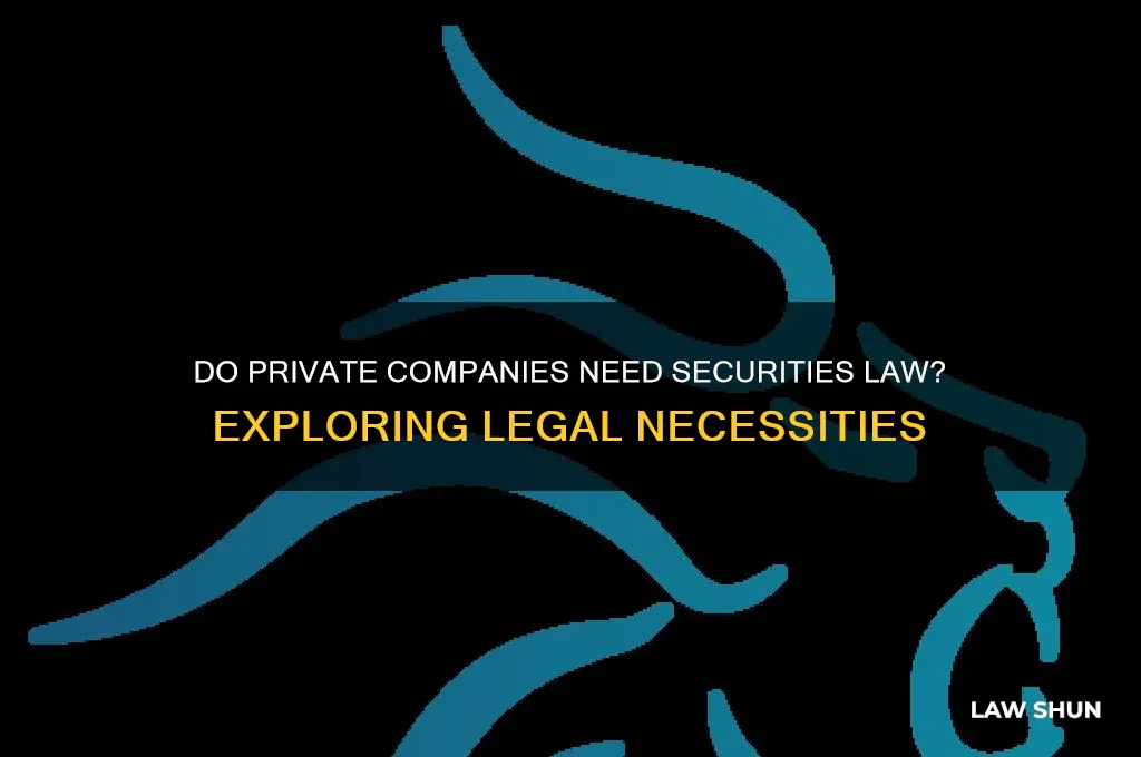 do private companies need securities law