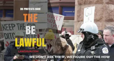 Balancing Dissent and Order: The Lawful Nature of Protests