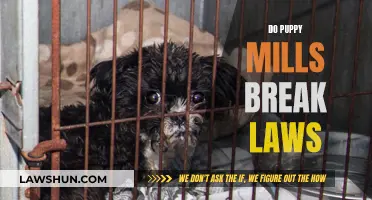 Puppy Mills: Unethical and Illegal?