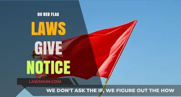 Do Red Flag Laws Provide Adequate Notice? A Legal Analysis