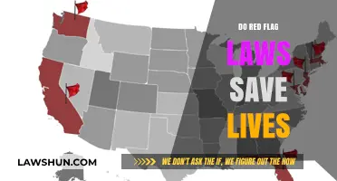 Examining the Impact of Red Flag Laws on Gun Violence Prevention