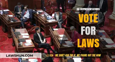 How Do Representatives Vote on Laws? Understanding the Legislative Process