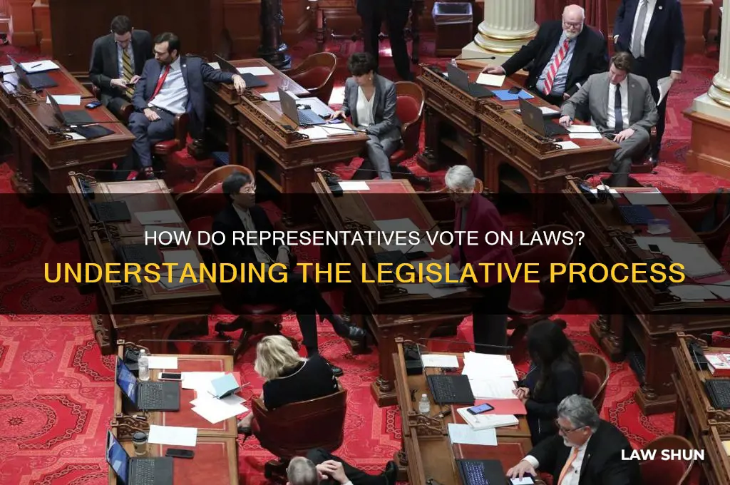 do representatives vote for laws