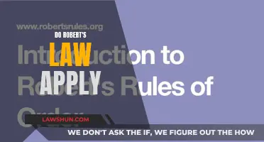 Robert's Rules: When and Where They Apply