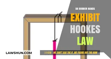 Exploring Elasticity: Do Rubber Bands Follow Hooke's Law?