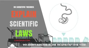 Unraveling the Mysteries: Do Scientific Theories Explain Scientific Laws?