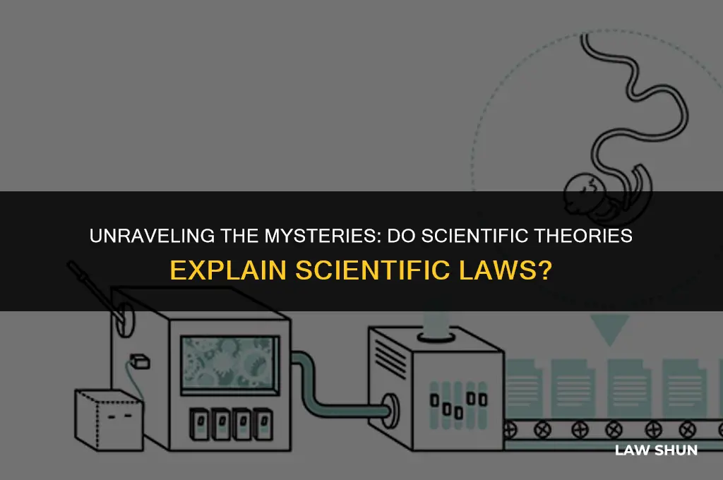 do scientific theories explain scientific laws