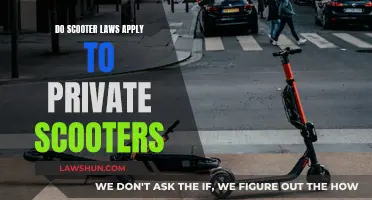 Scooter Laws: Public vs Private Ownership