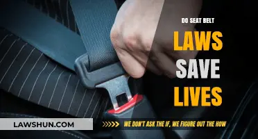 Buckling Up: The Life-Saving Impact of Seat Belt Legislation