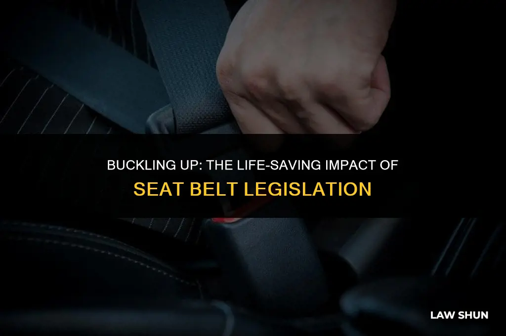 do seat belt laws save lives