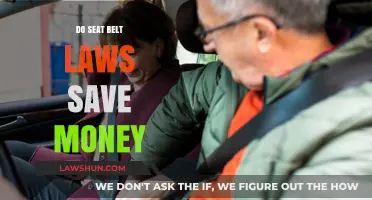 Buckling Up: The Economic Impact of Seat Belt Legislation