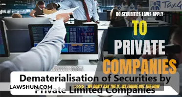 Securities Laws: Private Companies' Obligations and Exemptions