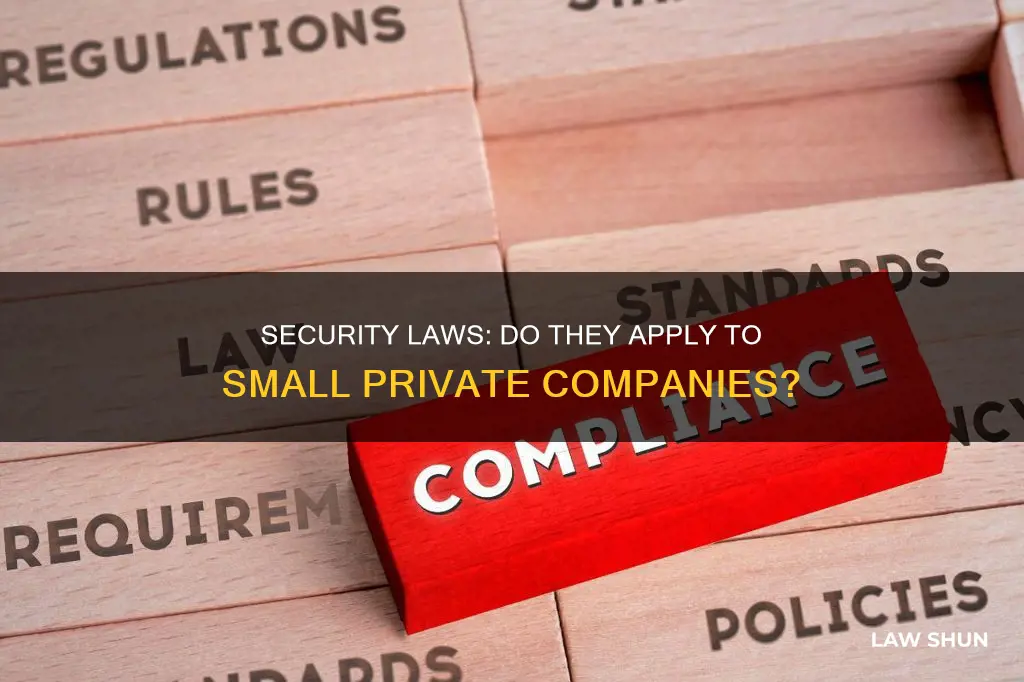 do security laws apply to small private companies