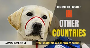 Service Dog Laws: Global Application and Access