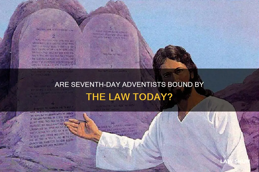 do seventh day adventists think we are under the law
