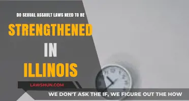 Strengthening Illinois Sexual Assault Laws: Addressing Gaps and Ensuring Justice