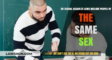 Same-Sex Sexual Assault: Are LGBTQ+ Individuals Protected by the Law?