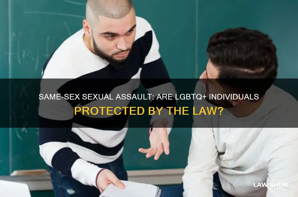 do sexual assaults laws include people of the same sex