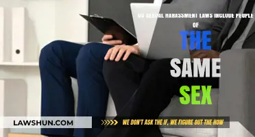 Same-Sex Harassment: Are Sexual Harassment Laws Inclusive?